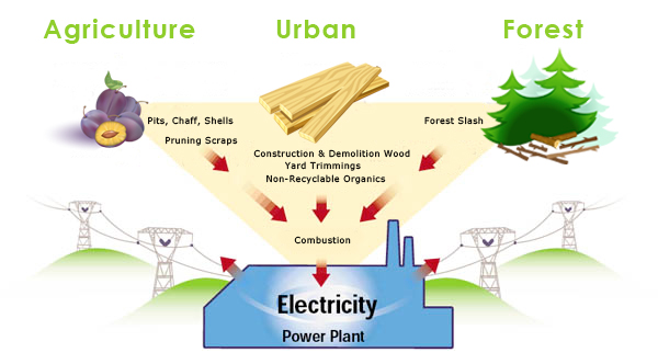biomass-fuel-sources