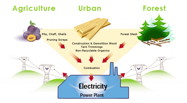 Renewable Energy California Biomass Energy Alliance California 